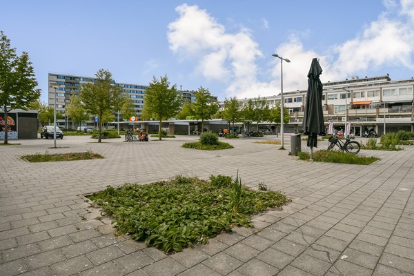 Medium property photo - Buziaustraat 10, 1068 KN Amsterdam
